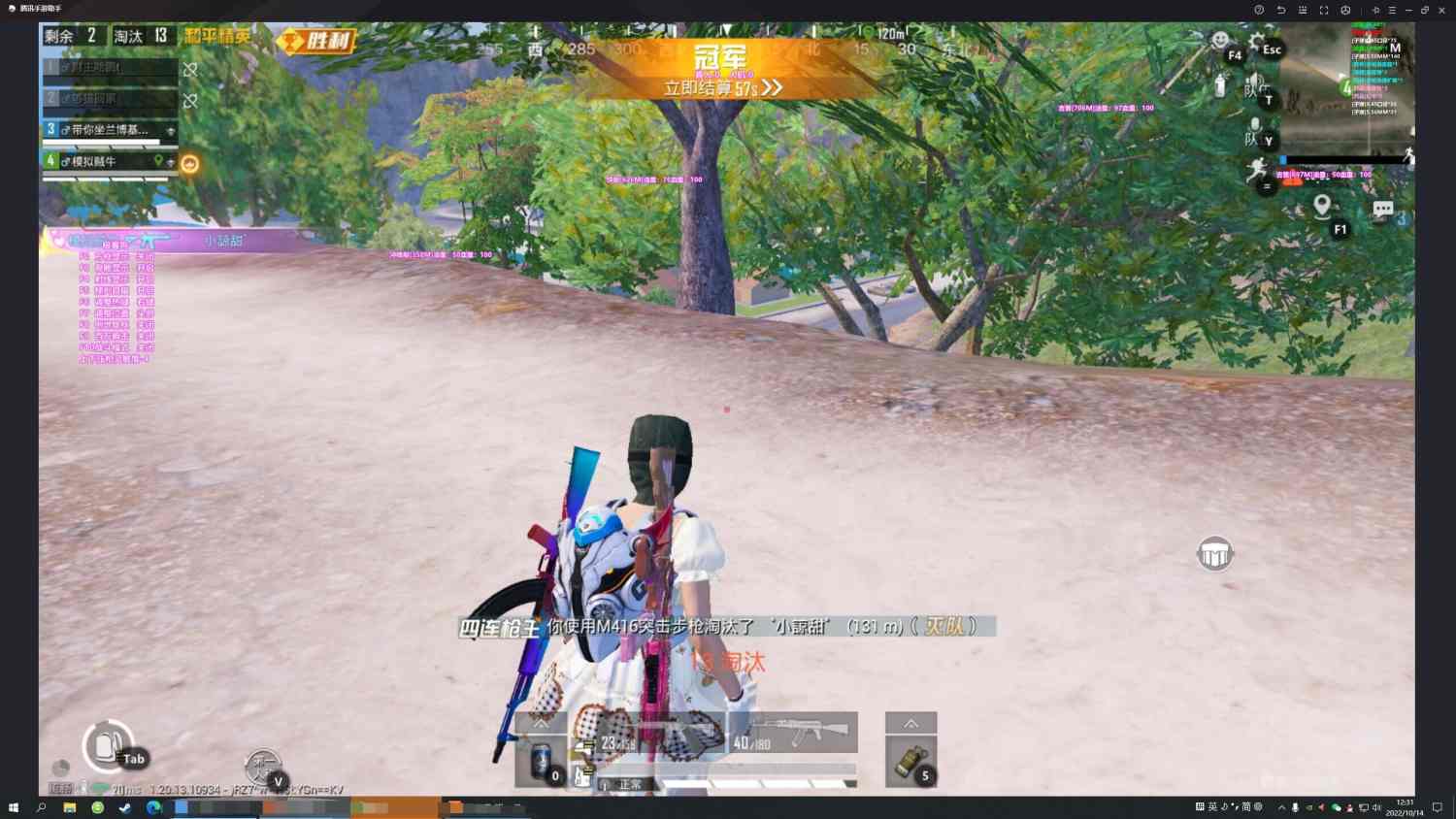 和平精英【EAD内部】辅助